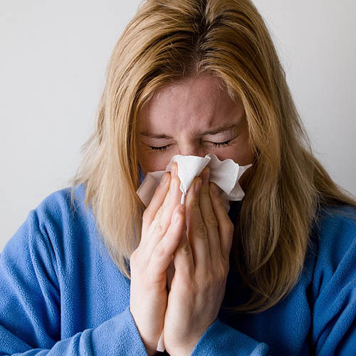Vue interieure de la Pharmacie de la Liberté